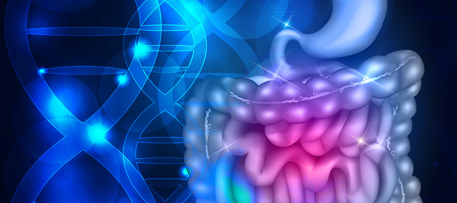Bowels And Stomach Abstract Scientific Background digestion graphic