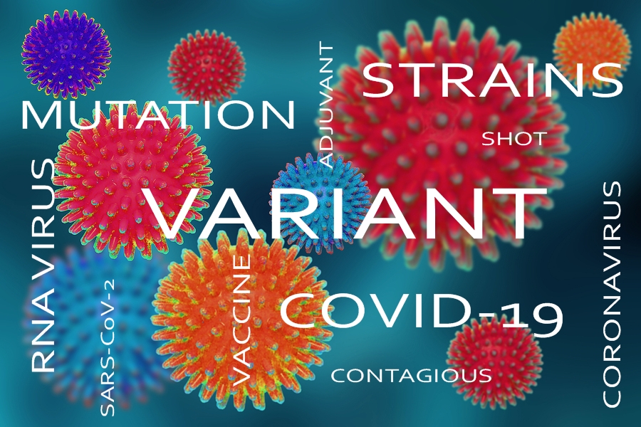 What is a Mutation, a Strain and Now a Variant of Covid?