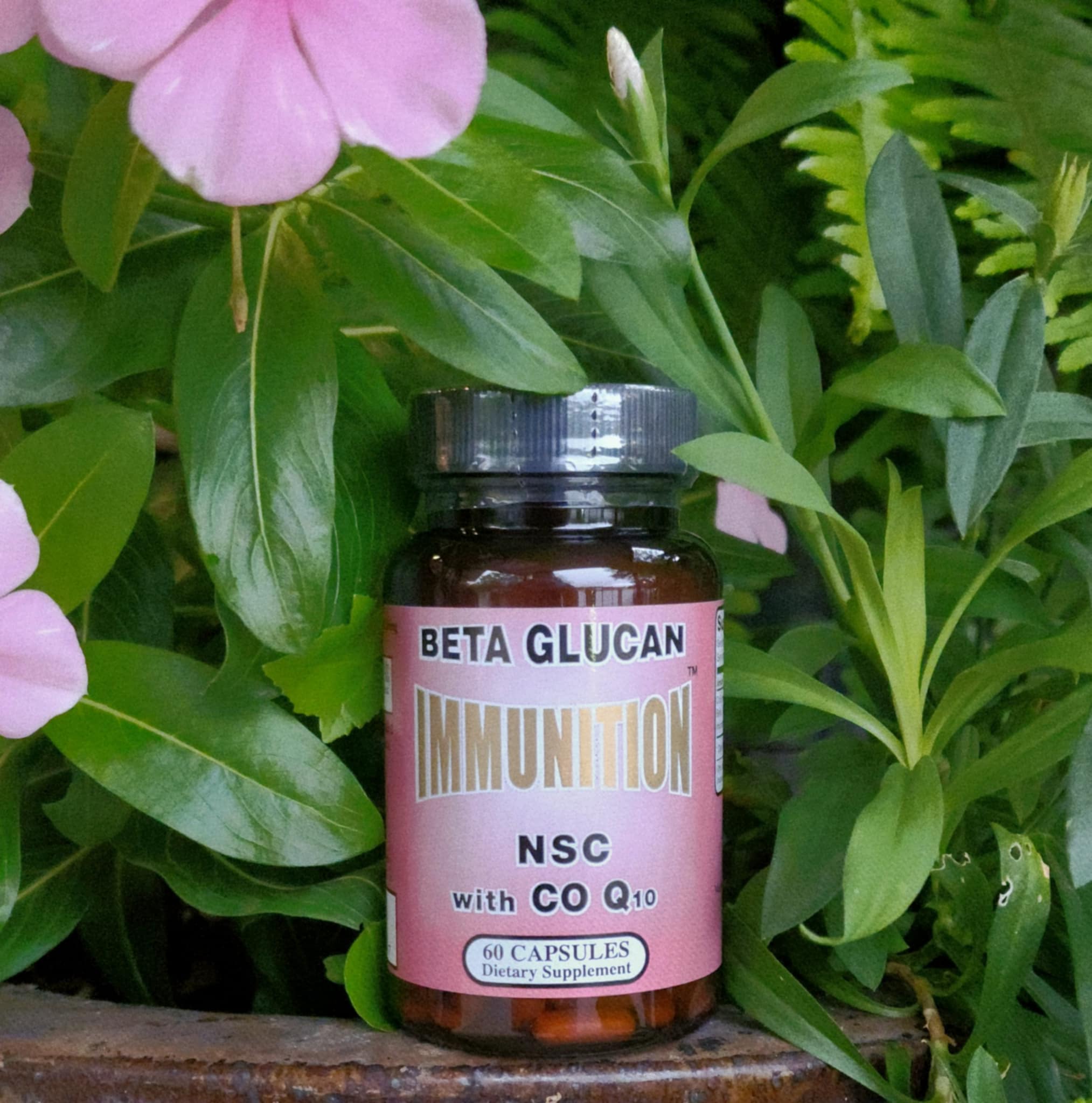 bottle of NSC CoQ10 supplement